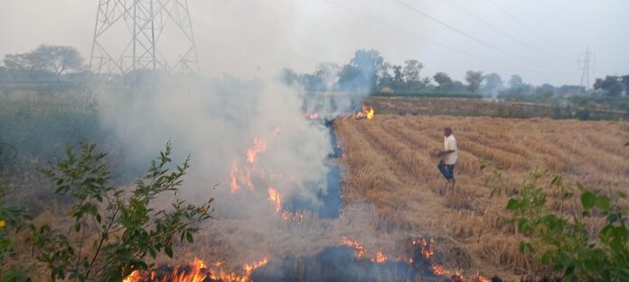 पराली जलाने की बढ़ती समस्या: किसानों की मुश्किलें और पर्यावरण पर प्रभाव पराली जलाने की बढ़ती समस्या: किसानों की मुश्किलें और पर्यावरण पर प्रभाव