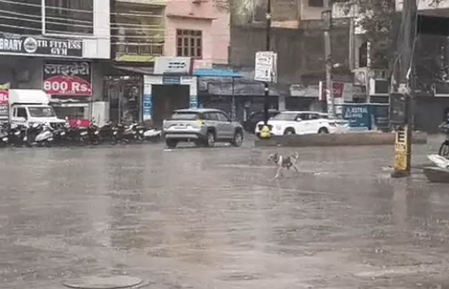 नारनौल में सुबह से जारी है बारिश का दौर, शहर में भारी बरसात का नजारा। नारनौल में भारी बारिश