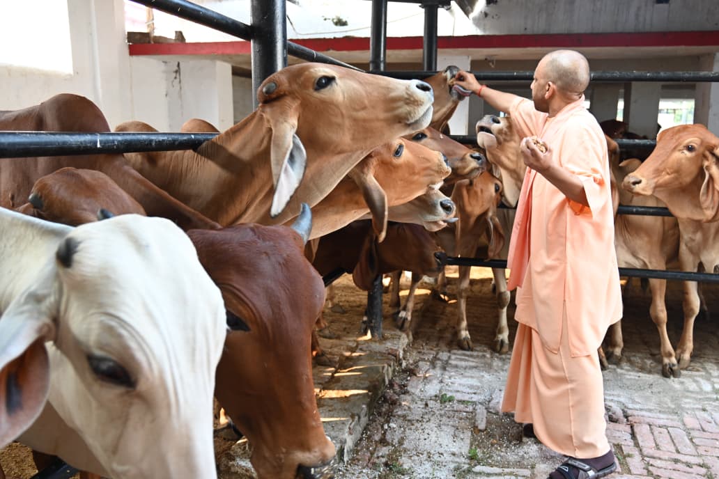 मुख्यमंत्री ने गायों की सेवा की, मंदिर परिसर में बच्चों से किया संवाद मुख्यमंत्री गोसेवा मंदिर में