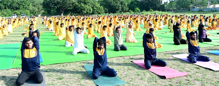 योगाभ्यास: स्वास्थ्य और शांति की दिशा में एक कदम योगाभ्यास: स्वास्थ्य और शांति की दिशा में एक कदम