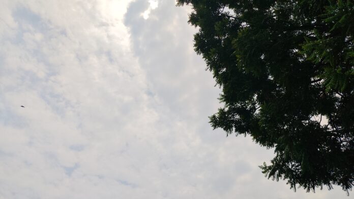 देहरादून मौसम देहरादून मौसम