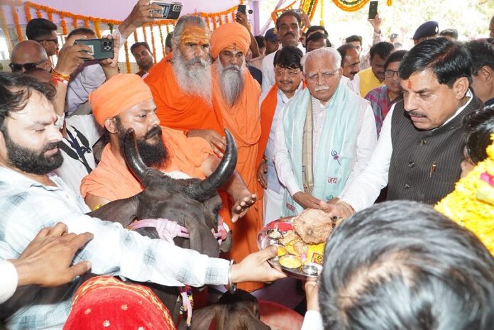 मुख्यमंत्री और केन्द्रीय मंत्री ने कपिला गौशाला में गाय का पूजन किया मुख्यमंत्री और केन्द्रीय मंत्री ने कपिला गौशाला में गाय का पूजन किया
