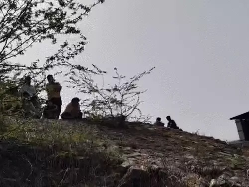 आयुष श्रीवास्तव की तलाश