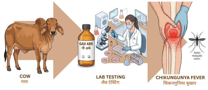 प्रतीकात्मक चित्र: एकता और समृद्धि