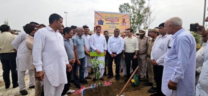 सांसद सुभाष बराला पौधारोपण करते हुए