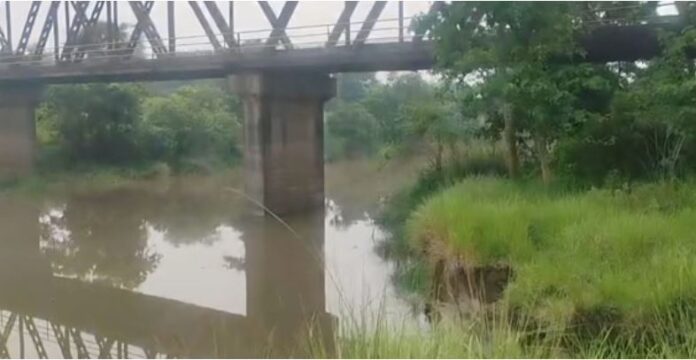 पुल के पिलर के पास मिट्टी धंसने से खतरा बढ़ा