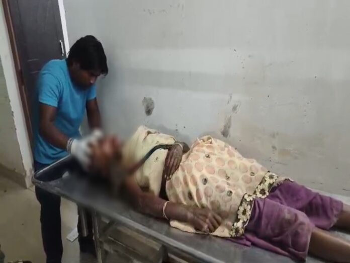 सक्ती में दिल दहला देने वाली वारदात: मामूली विवाद के बाद बेटे ने मां की पीट-पीटकर हत्या की, गांव में सनसनी