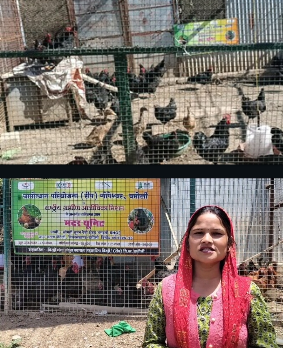 पॉल्ट्री फार्मिंग में महिला उद्यमिता: सुमन देवी की सफलता की कहानी महिला पॉल्ट्री फार्म मालिक