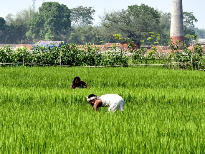 फार्मर रजिस्ट्री आधारित उर्वरक वितरण