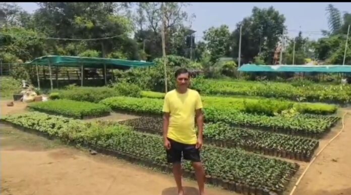 अशोक मंडल नर्सरी की तस्वीर अशोक मंडल नर्सरी की तस्वीर