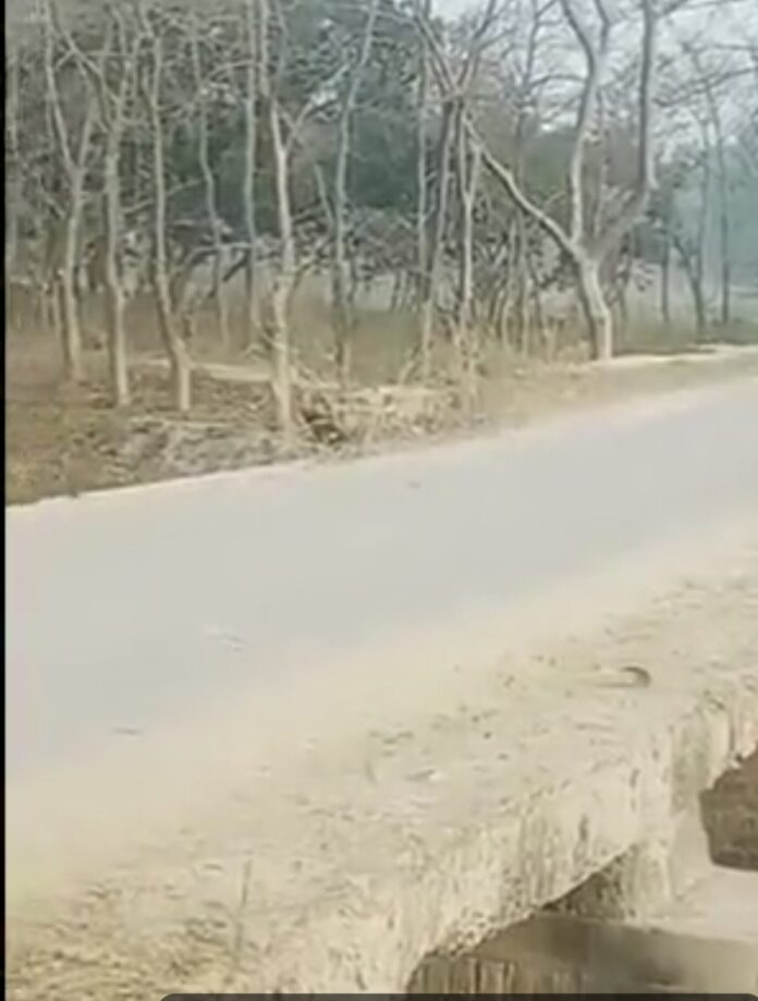 नेवादा बिबियापुर सेतु निर्माण तस्वीर
