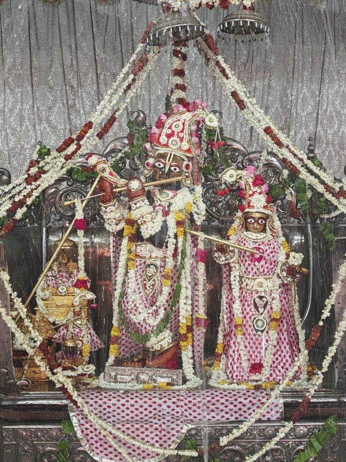निर्जला एकादशी जलयात्रा दर्शन