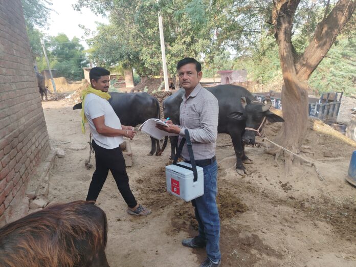 वैक्सीन लगाते पैरावेट का दृश्य