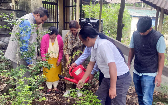 डीएसबी परिसर में पौधरोपण करते प्राध्यापक