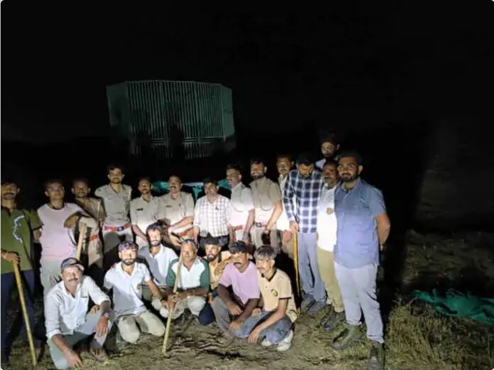 वन विभाग शेरों का अभियान चलाया