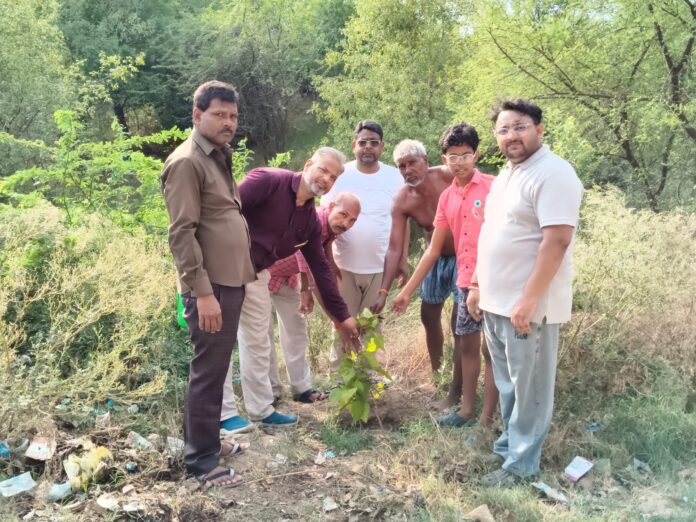 लोग पौधे लगा रहे हैं