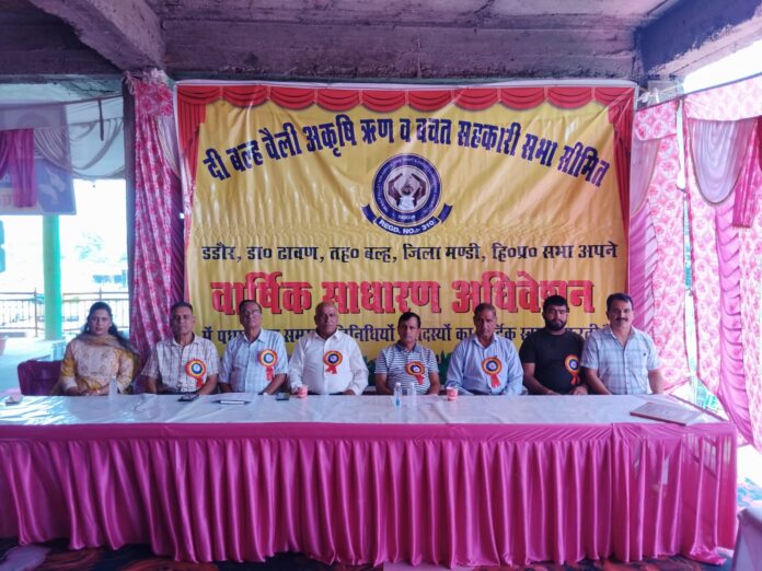 दी बल्ह वेली अकृषि ऋण व बचत सहकारी सभा सीमित डडौर की तस्वीर