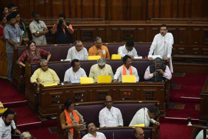 विधानसभा चर्चा का महत्व
