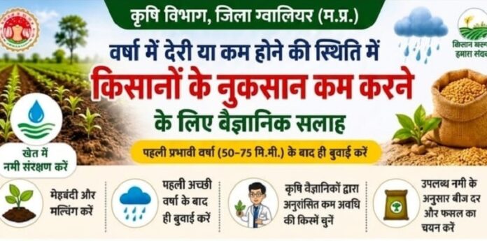विशेषज्ञ सलाह और सुझाव देने के लिए एक साथी