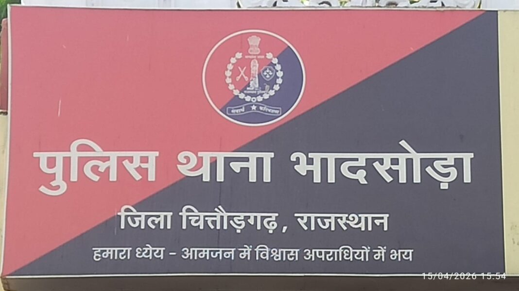 चित्तौड़गढ़ की भादसोड़ा पुलिस ने पकड़ी गांजे की अवैध खेती चित्तौड़गढ़ पुलिस गांजा पकड़