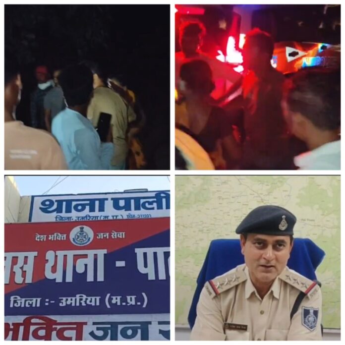 सीमांकन विवाद में पटवारी से मारपीट