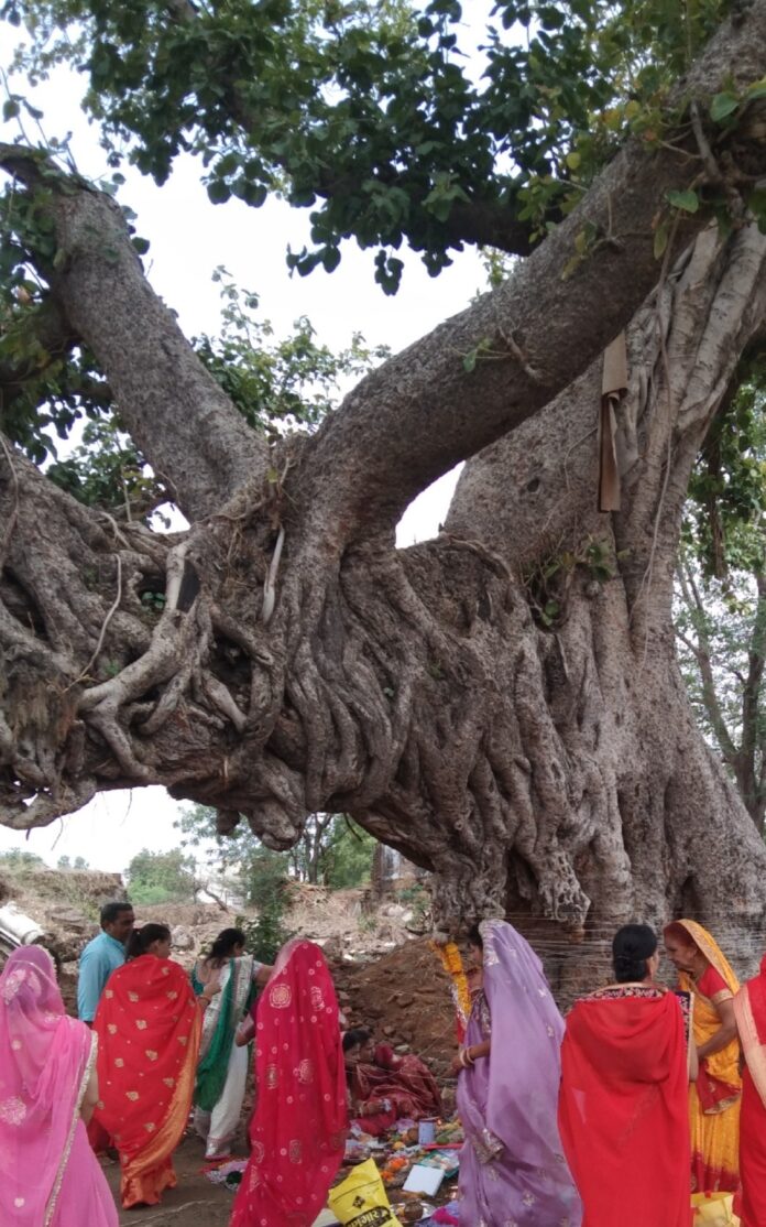 वट सावित्री व्रत की पूजा विधि