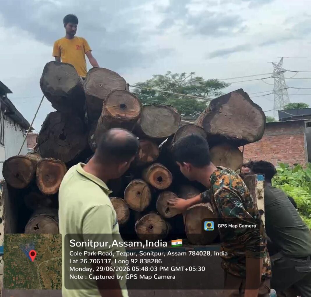अवैध लकड़ी मिल की तस्वीर