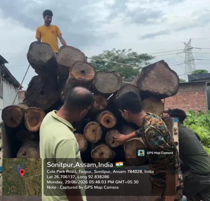 अवैध लकड़ी मिल की तस्वीर