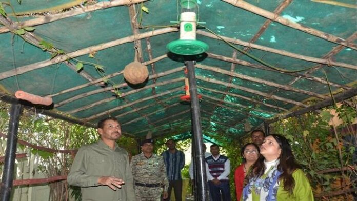 महुआखेड़ी तकीपुर विद्यालय की तस्वीर महुआखेड़ी तकीपुर विद्यालय की तस्वीर