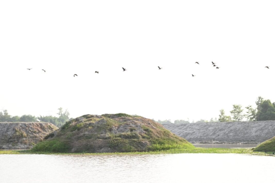 सुरवारी झील, हिसार, हरियाणा का प्राकृतिक सौंदर्य