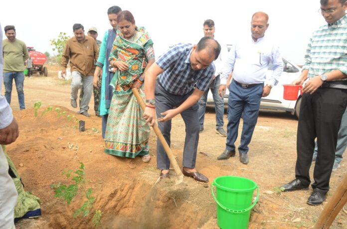 कलेक्टर ग्राम बरौदा में पौधे का रोपण करते हुए