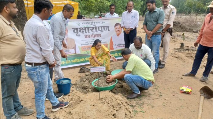 जिला पंचायत सीईओ पौधरोपण करती हुई अपने कर्मचारियों के साथ जिला पंचायत सीईओ पौधरोपण करती हुई अपने कर्मचारियों के साथ