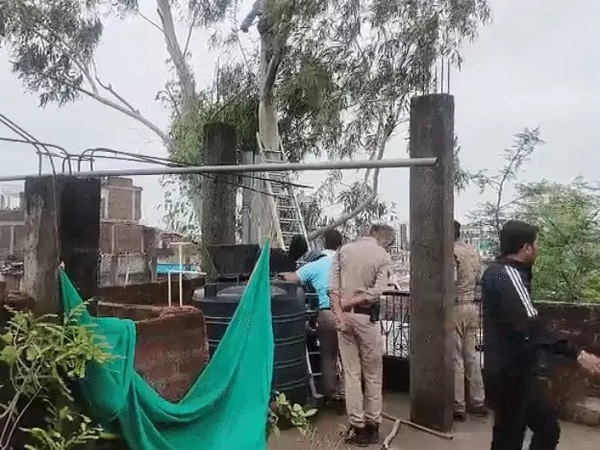 भोपाल युवक पेड़ पर बैठा भोपाल युवक पेड़ पर बैठा