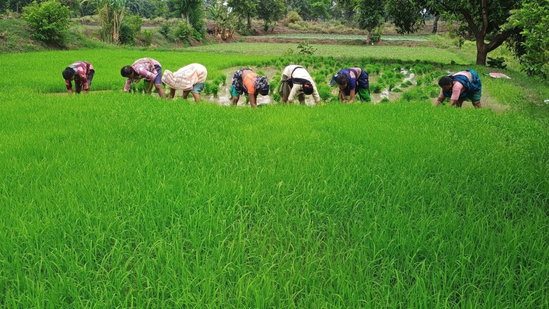 घान की राजधानी अक्रा की विशेषताएं और संस्कृति घाना की राजधानी अक्रा की तस्वीरें