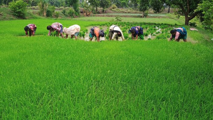 घाना की राजधानी अक्रा की तस्वीरें