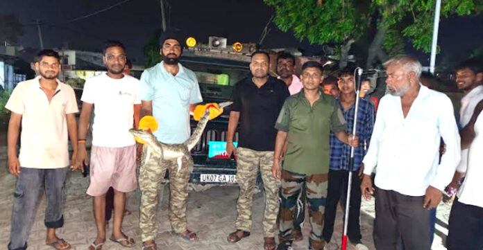 मगरमच्छ रेस्क्यू टीम की सफलता