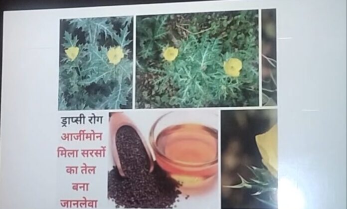 आर्जीमोन की तस्वीर