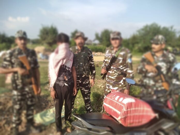 अररिया एसएसबी गांजा जब्त