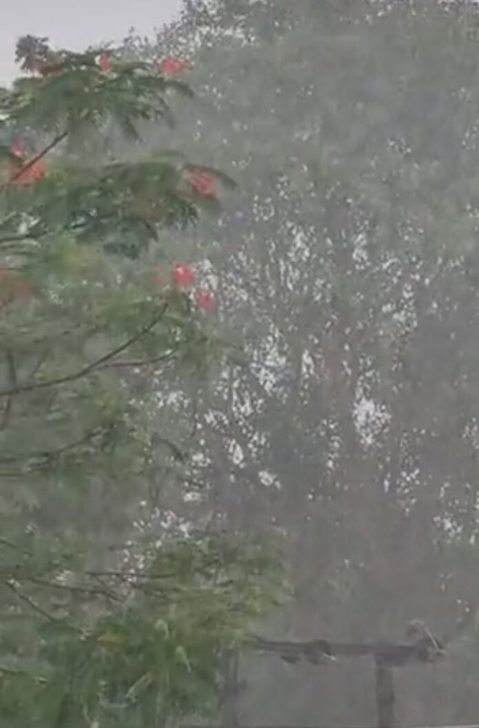 दिल्ली में झमाझम बारिश की तस्वीर दिल्ली में झमाझम बारिश की तस्वीर