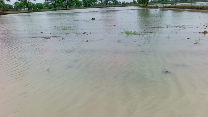 खेतों में पानी भर गया है