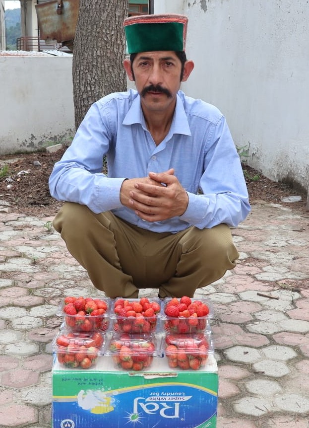 बालकृषण सेरी काेठी की अद्वितीय संगीत शैली बालकृषण सेरी काेठी की अद्वितीय संगीत शैली