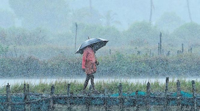 बस्तर में मानसून की दस्तक बस्तर में मानसून की दस्तक