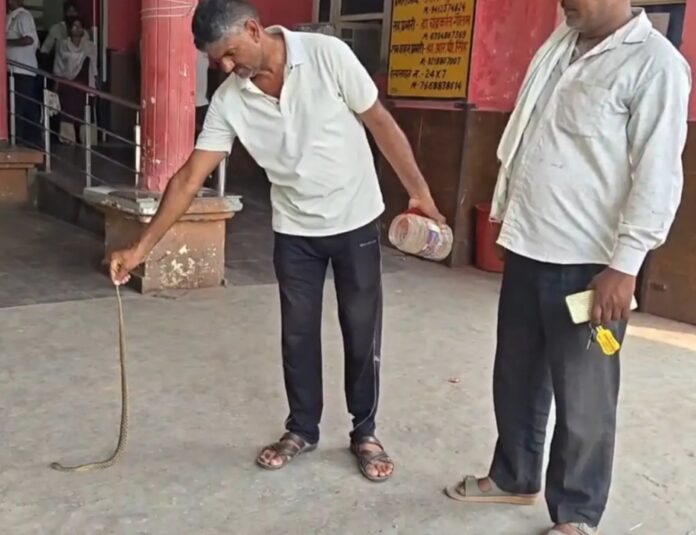 सांप दिखाते परिजन का वीडियो