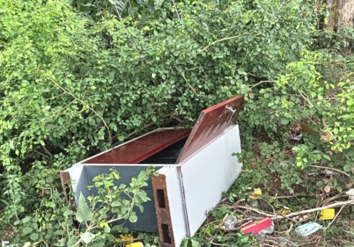 वायरल वीडियो: झाड़ियों में पड़ी अलमारी वायरल वीडियो: झाड़ियों में पड़ी अलमारी
