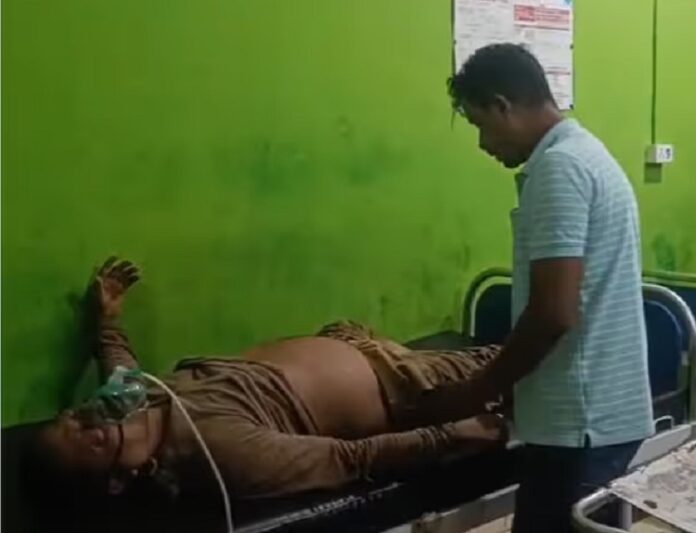 असमः जंगली हाथी ने फॉरेस्ट गार्ड को घायल किया