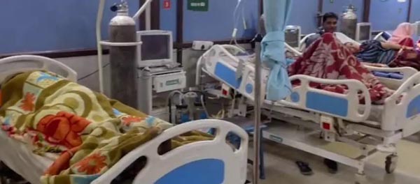 देशी मशरूम खाने से फूड पॉइजनिंग का खतरा देशी मशरूम खाने से फूड पॉइजनिंग का खतरा