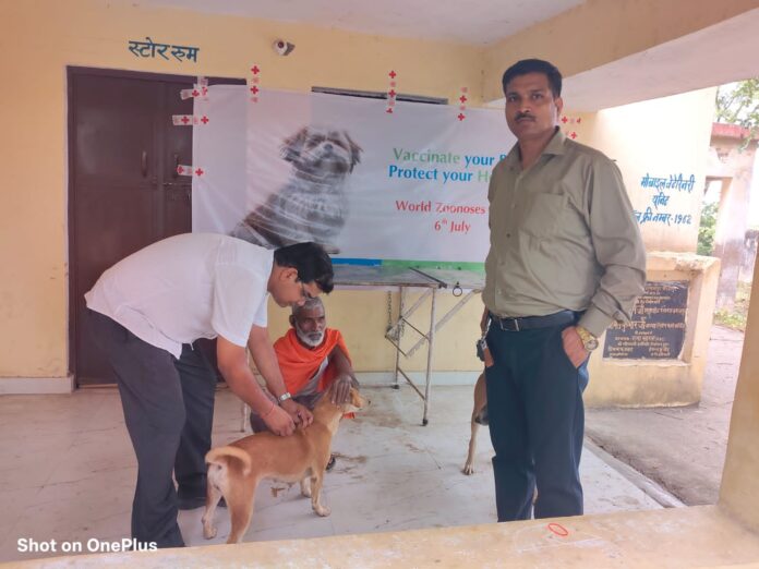 जमालपुर में रैबीज इंजेक्शन लगाते हिसार जमालपुर में रैबीज इंजेक्शन लगाते हिसार