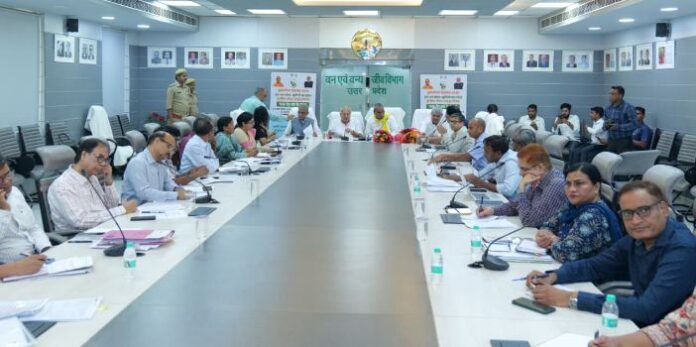 पौधरोपण के फायदे और नुकसान पौधरोपण के फायदे और नुकसान