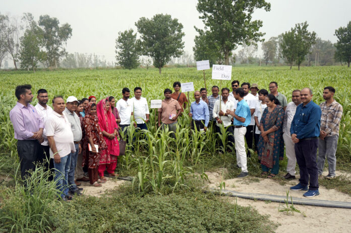 प्रगतिशील किसानों की फसल दिखाते डॉ. अभिजीत डे