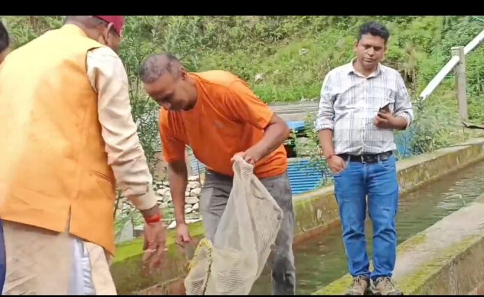 दिनेश सिंह ट्राउट मत्स्य पालन करते हुए